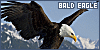 100x50 code