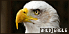 100x50 code