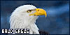 100x50 code