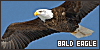 100x50 code