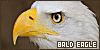100x50 code