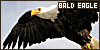 100x50 code