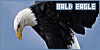 100x50 code