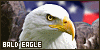 100x50 code