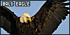 100x50 code