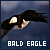 50x50 code
