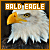 50x50 code