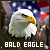 50x50 code