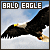 50x50 code