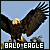 50x50 code