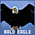 50x50 code