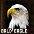 50x50 code