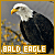 50x50 code