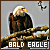 50x50 code