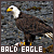 50x50 code