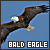 50x50 code