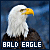 50x50 code