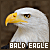 50x50 code