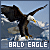 50x50 code