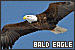 75x50 code