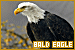 75x50 code