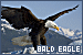 75x50 code
