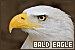 75x50 code