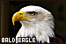 75x50 code