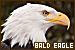 75x50 code