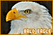 75x50 code