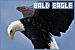 75x50 code