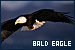 75x50 code