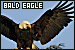 75x50 code