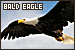 75x50 code