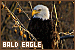 75x50 code