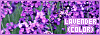 100x35 code