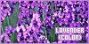100x50 code