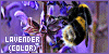 100x50 code