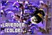75x50 code