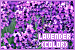 75x50 code
