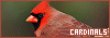 100x35 code