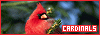 100x35 code