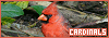 100x35 code