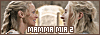 100x35 code