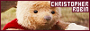 100x35 code