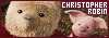 100x35 code