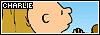 100x35 code