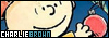 100x35 code
