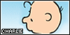 100x50 code