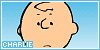 100x50 code